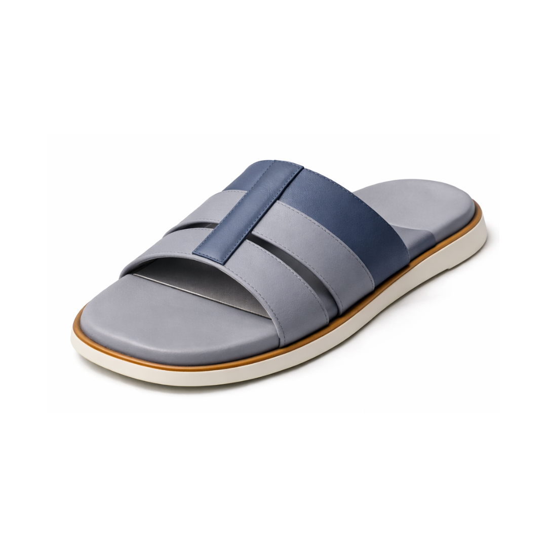 the praxis the praxis