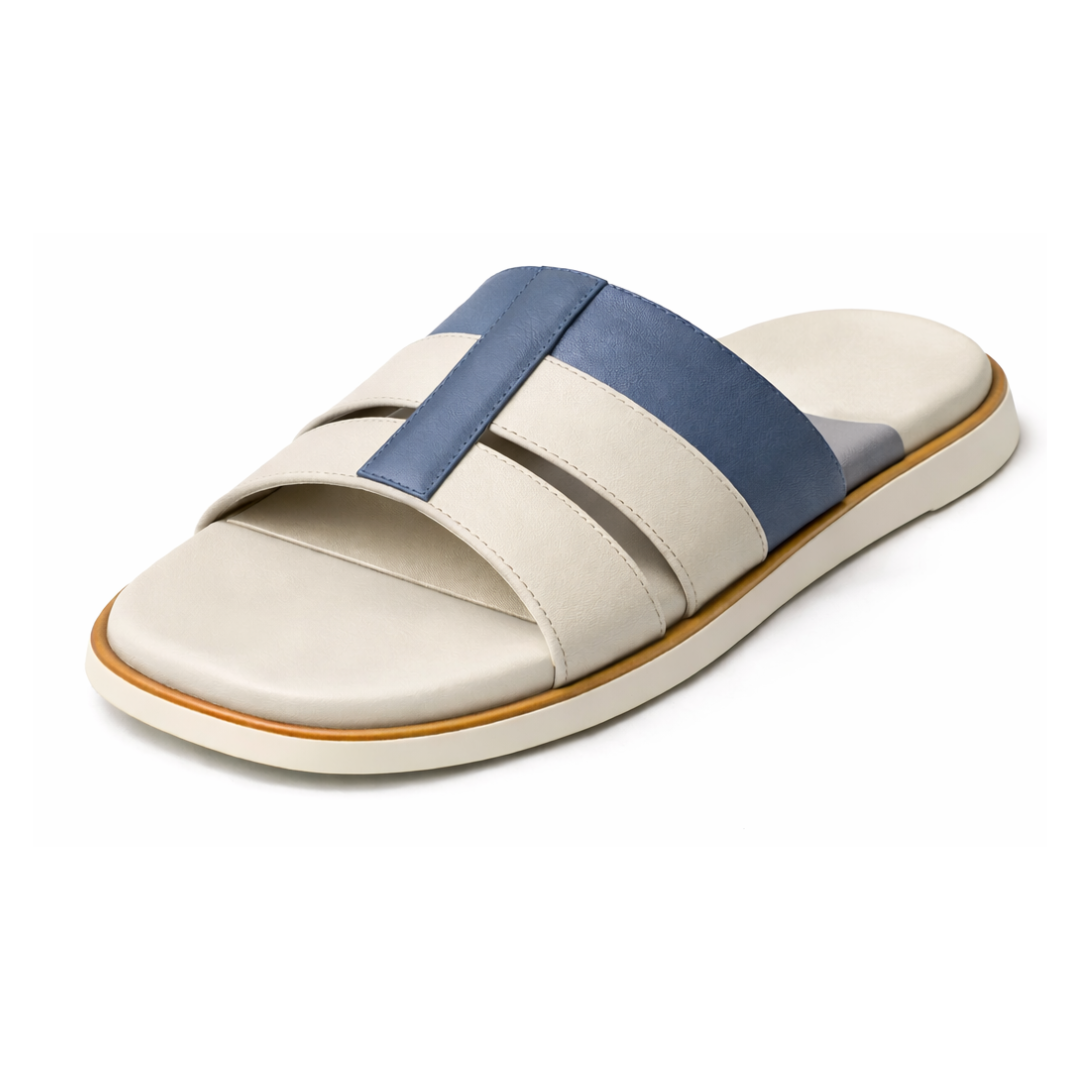 the praxis the praxis